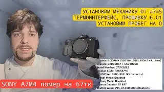 Sony a7m4, который сдох на 67 т. кадров . 