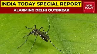 Big Spike In Dengue Cases, Hospitals Overrun Amid Health Emergency | India Today Special Report
