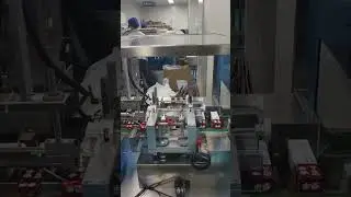 toothpaste tube filling machine with cartoning machine
