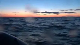 WinBoat 390R на рыбалке. 21.07.2012