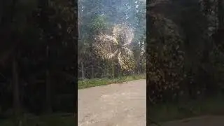 Girandola doppia fontane fredde