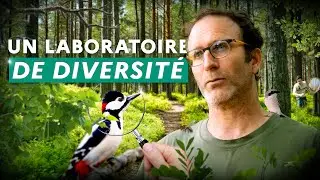 La réserve biologique de la Harth, un laboratoire de suivi de la biodiversité forestière
