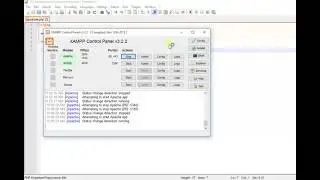 Fixing the IP address in Xampp localhost