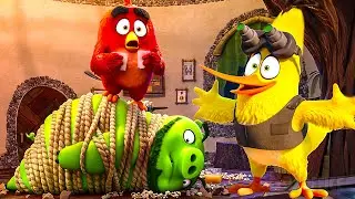 Angry Birds : Unit&eacute; Sp&eacute;ciales | Angry Birds: Copains comme cochons | Extrait VF 🔥 4K