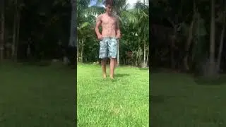 screamer