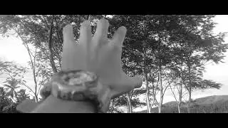 A Short Film About 