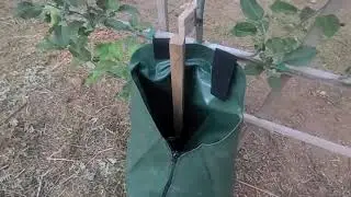 Tree Watering Bag, 20 Gallon Slow Release Tree Watering Bags Drip Irrigation Bag Review, Consistent