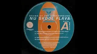 DJ Kane  - The Way It Goes Down!
