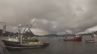 Sitka Herring 2017
