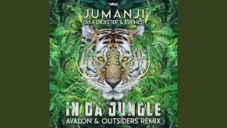 In Da Jungle (Avalon & Outsiders Remix)