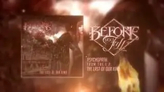 Before You Fall - 