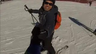 andorreando