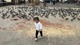 A cute Child is feeding pigeons at Gateway Of India Mumbai | Video 3