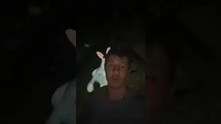 На меня напал Кролик&hellip;