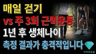 매일 걷기 vs 주 3회 근력운동… 1년 후 생체나이 측정 결과가 충격적입니다