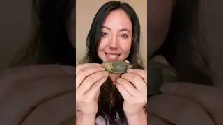 RANDOM EXPLORE PAGE TIK TOK VIDEOS
