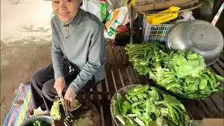 Smart Ways to Lower Daily Feed Costs on Your Farm!