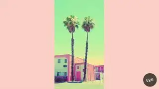 Tell - Cool Bananas