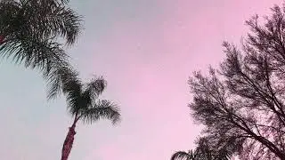 Mezax - Rooftop Vibes (Out Now!)