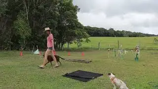 Any Other Animal Agility Ineke Keough #3022/05/22E Lulu the Dog September/October 2023