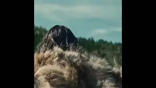 American Gods movie arrow scene