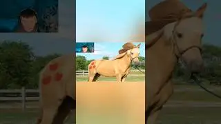I Got Jumpscared By A Horse | AppleDoom.EXE