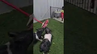 38 4,38 3,43 2,38 7,38 2