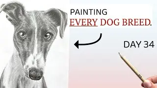 Whippet dog painting with IKEA pencil | Painting every dog breed