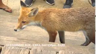 Skradinski Buk 2015 (9)