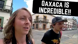 OAXACA, MEXICO - We've NEVER seen this before!!