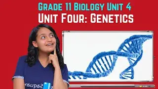 Grade 11 Biology Unit 4:  Unit Four: Genetics | Saquama