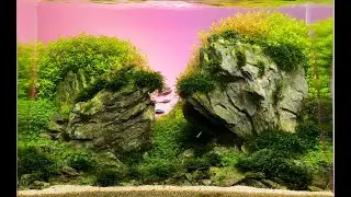 Запуск и оформление травника с нуля (часть 2)/Setup planted nano tank(party 2) 