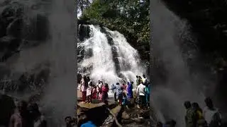 Sirimane falls in Karnataka #monsoon #waterfallsinindia #karnataka #incredibleindia #monsoontrip