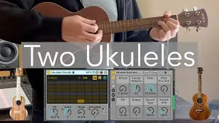 Two Ukuleles (Multi-Sampled Ableton Live Pack)