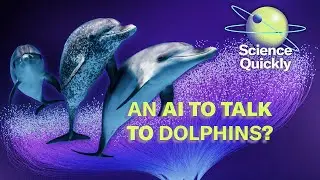 Can we speak to dolphins? | Science Quickly Podcast