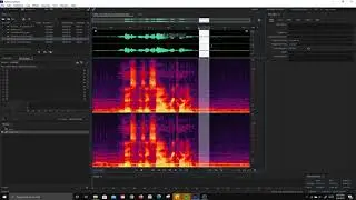 Spectral Frequency Display in Adobe Audition