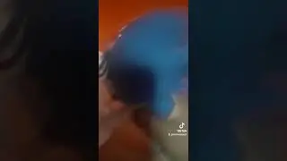 the 