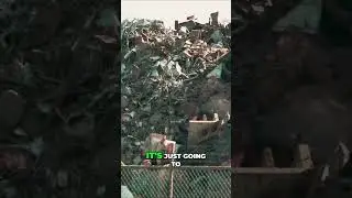 Unlock the Economic and Environmental Potential: Turning Waste into a Valuable Resource