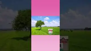 No more mega chonk