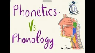 Phonetics Vs Phonology ~ First year BA Phonetics Course