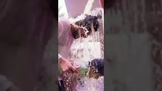 Happy Holi l Allu Arjun l Family Photos Status 🌊🔫