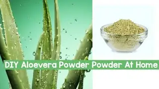 Pure Aloevera Gel Powder At Home | Assamese |
