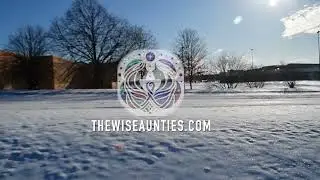 THE WISE AUNTIES (EVANSVILLE, INDIANA) #VIDEOROBOT