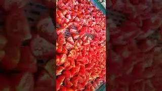 Tomato Slicing Machine | Domates Dilimleme makinası