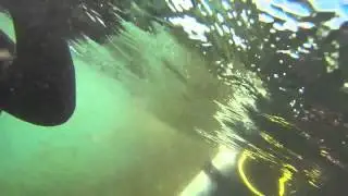 Scuba boat dive