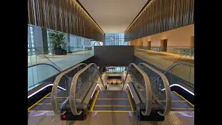 赤坂グリーンクロスのエスカレーター