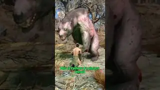 Fallout 4's TINIEST Detail