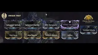 Aeolak Build (Riven) - Warframe Build Guide