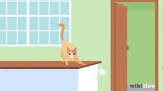 The Truth about the Orange Cat Personality