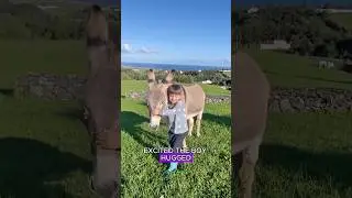 The friendship between the boy and the donkey.#shorts #animals #donkey #friendship